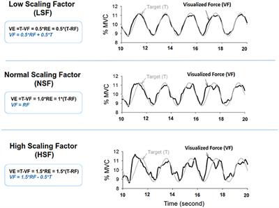 Paradigm Shifts in Voluntary Force Control and Motor Unit Behaviors with the Manipulated Size of Visual Error Perception